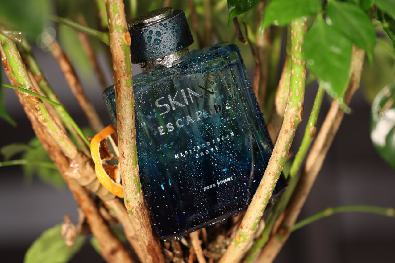 TITAN SKINN ESCAPADE MEDITERRANEAN GROVE